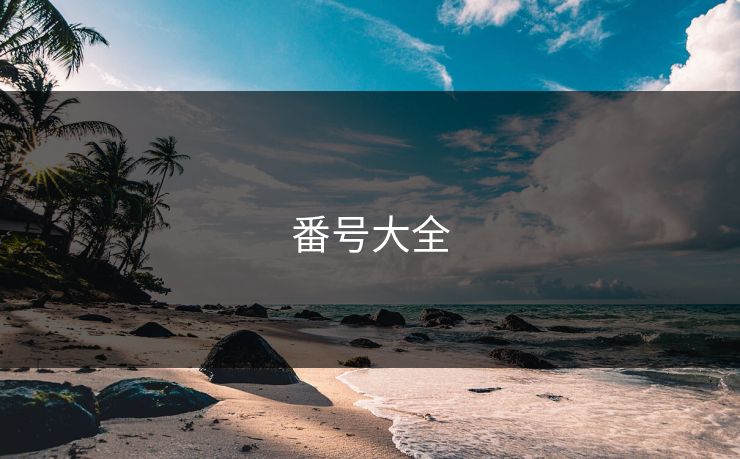 番号大全
