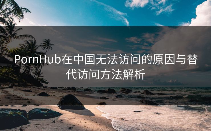 PornHub在中国无法访问的原因与替代访问方法解析