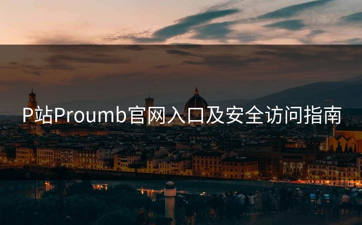 P站Proumb官网入口及安全访问指南