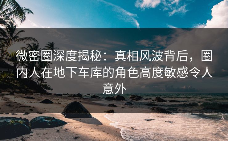 微密圈深度揭秘：真相风波背后，圈内人在地下车库的角色高度敏感令人意外